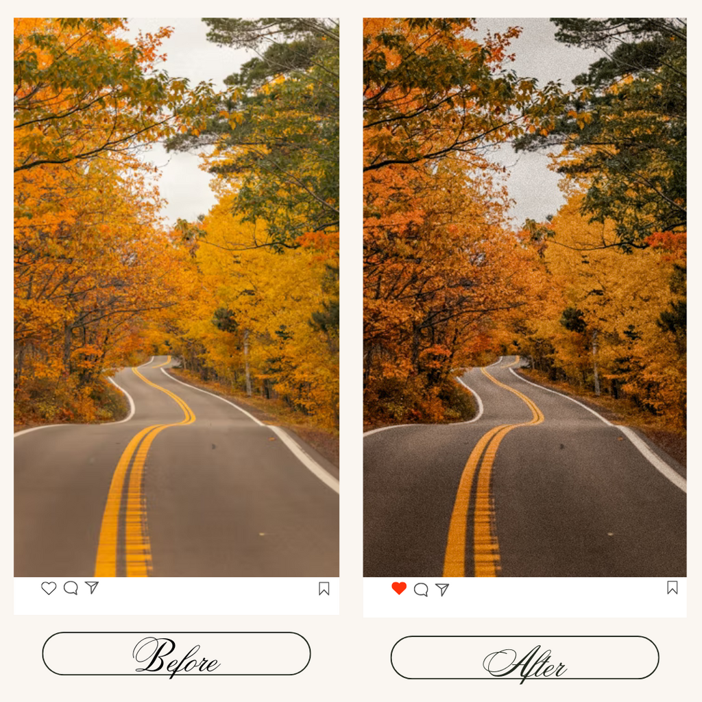 Autumn Vibes