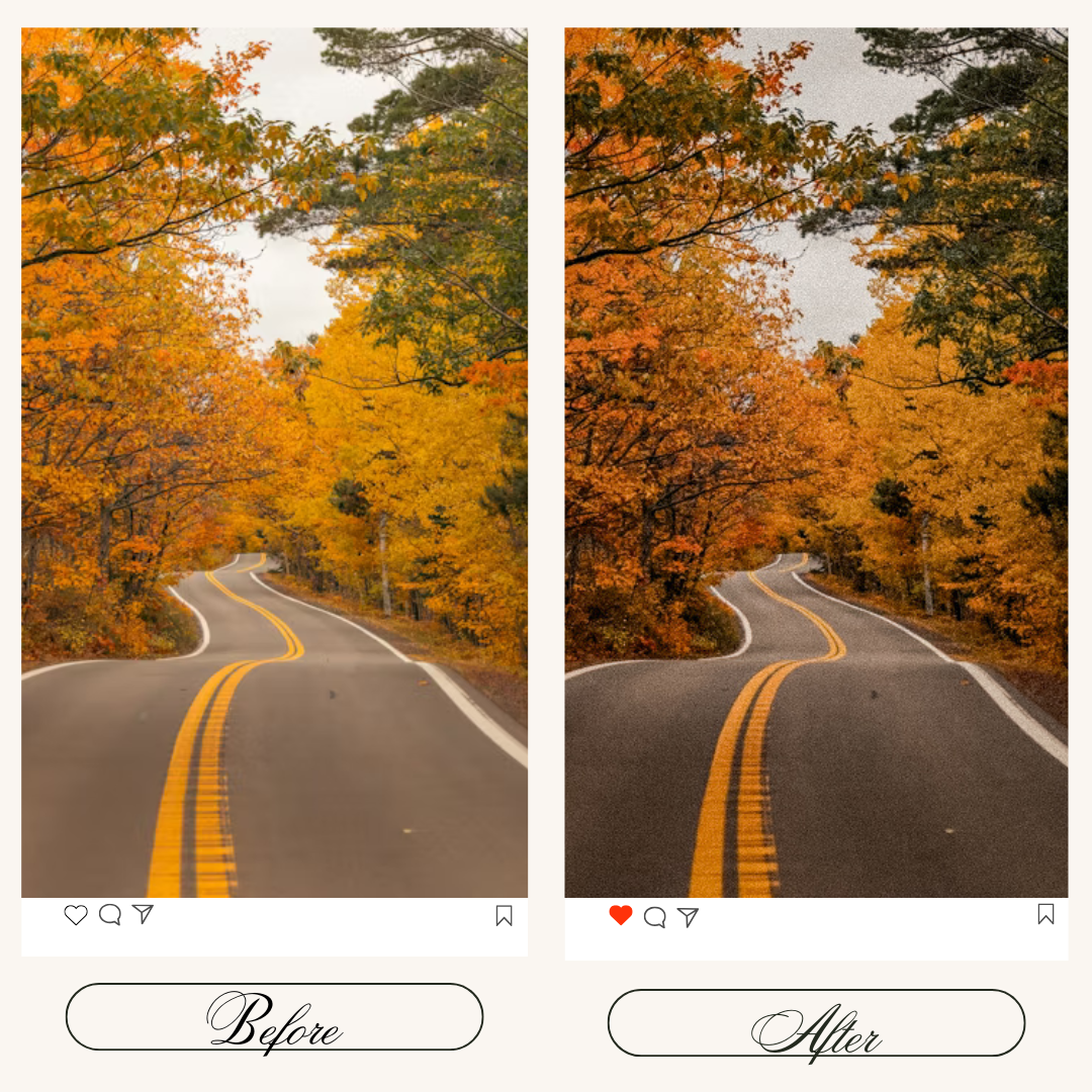 Autumn Vibes