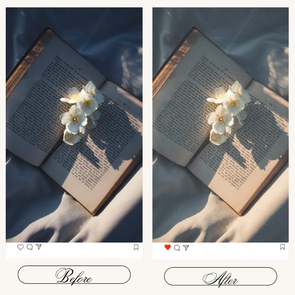 Light Soft