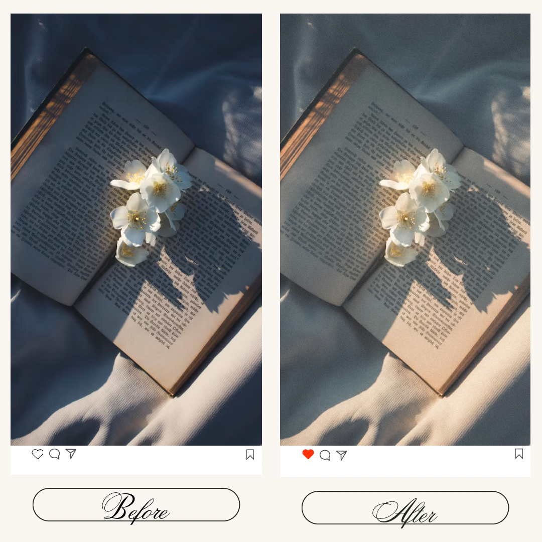 Light Soft
